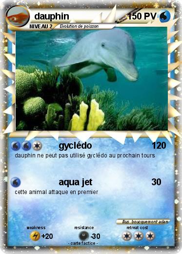 Pokemon dauphin