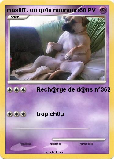Pokemon mastiff , un gr0s nounours