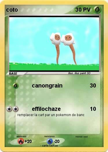 Pokemon coto