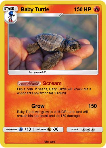 Pokemon Baby Turtle