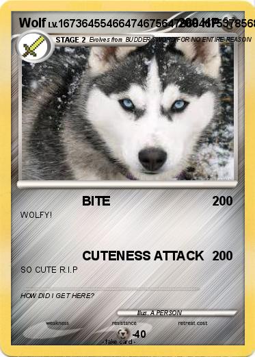 Pokemon Wolf
