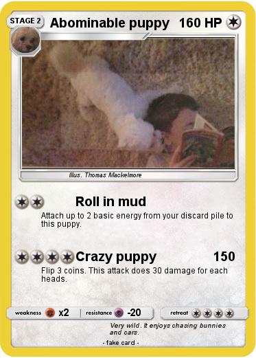 Pokemon Abominable puppy