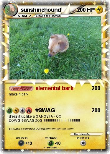 Pokemon sunshinehound