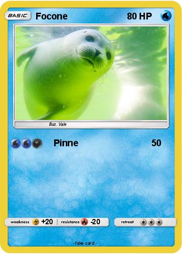 Pokemon Focone