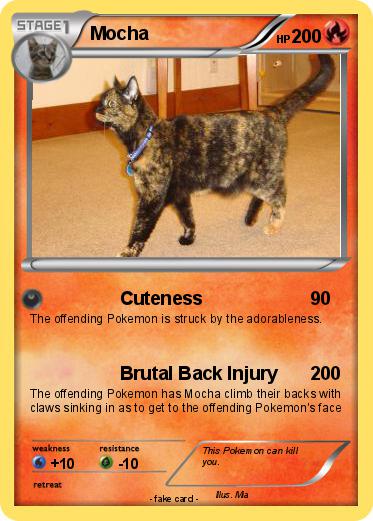 Pokemon Mocha