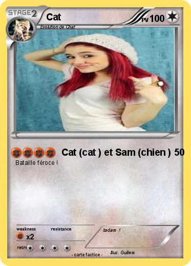 Pokemon Cat