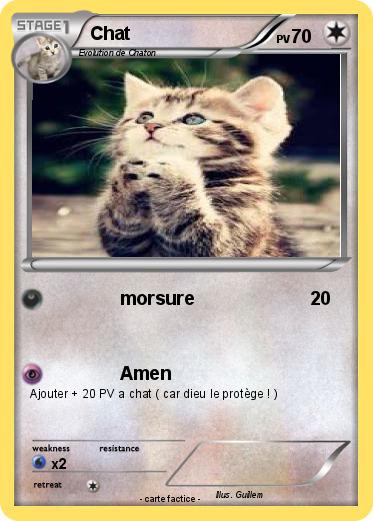 Pokemon Chat