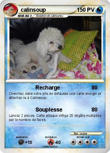 Pokemon calinsoup