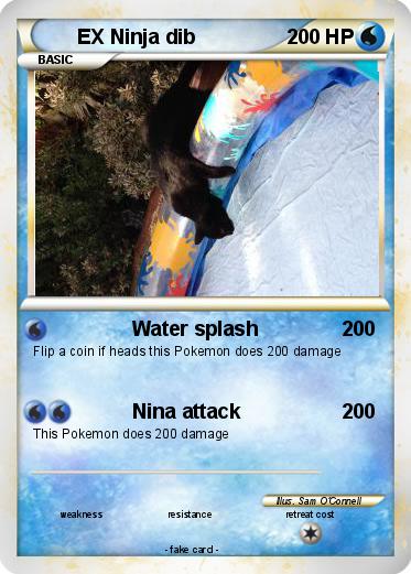 Pokemon EX Ninja dib