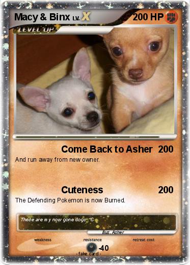 Pokemon Macy & Binx