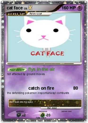 Pokemon cat face