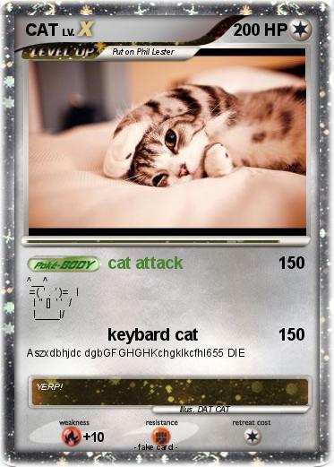 Pokemon CAT