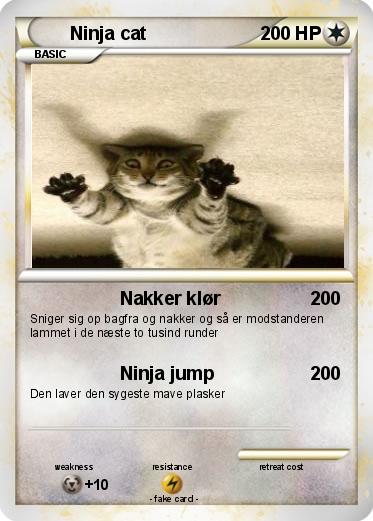 Pokemon Ninja cat