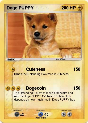 Pokemon Doge PUPPY