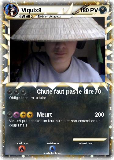 Pokemon Viquix9