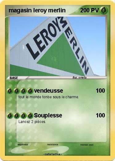 Pokemon magasin leroy merlin