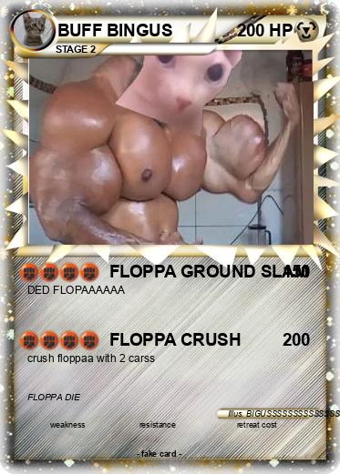 Pokemon BUFF BINGUS