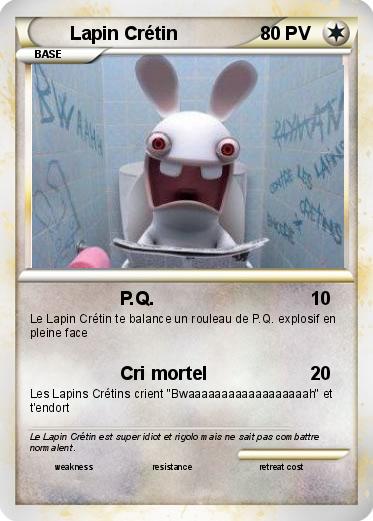 Pokemon Lapin Crétin