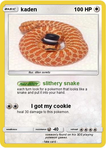 Pokemon kaden