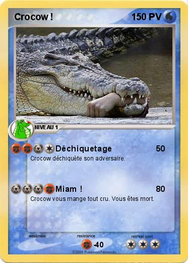 Pokemon Crocow !