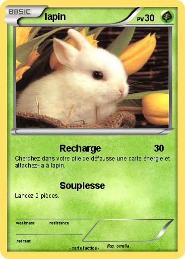 Pokemon lapin