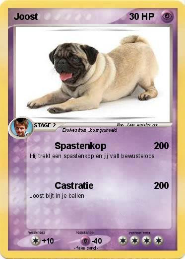 Pokemon Joost