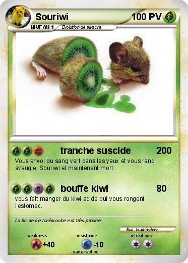 Pokemon Souriwi