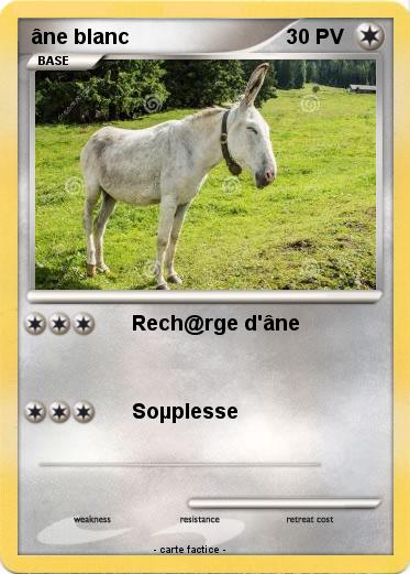 Pokemon âne blanc
