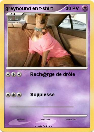 Pokemon greyhound en t-shirt