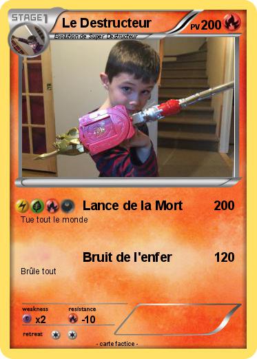Pokemon Le Destructeur