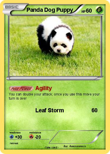 Pokemon Panda Dog Puppy