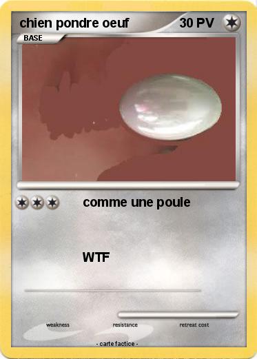 Pokemon chien pondre oeuf