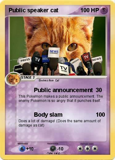 Pokemon Public speaker cat