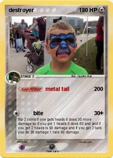 Pokemon destroyer