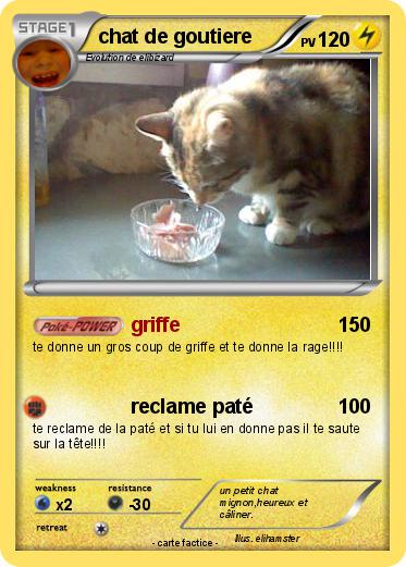 Pokemon chat de goutiere