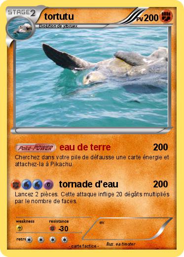 Pokemon tortutu