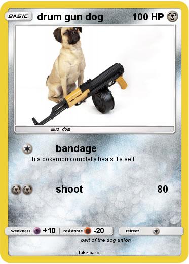 Pokemon drum gun dog