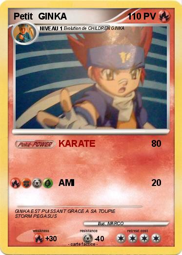 Pokemon Petit  GINKA