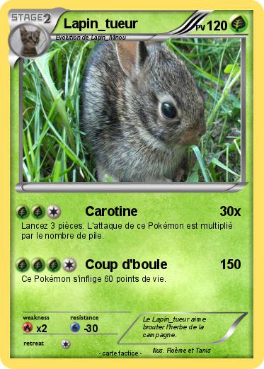 Pokemon Lapin_tueur