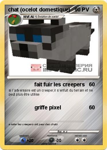 Pokemon chat (ocelot domestique)