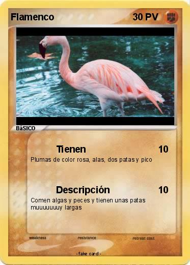 Pokemon Flamenco