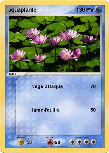 Pokemon aquaplante