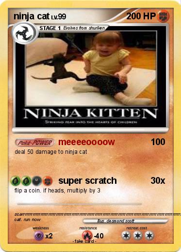 Pokemon ninja cat