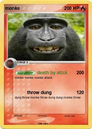 Pokemon monke