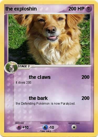 Pokemon the exploshin