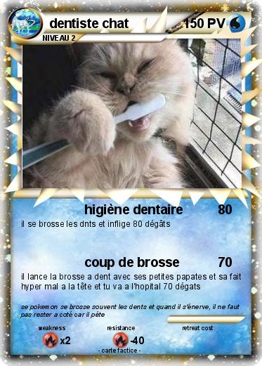 Pokemon dentiste chat