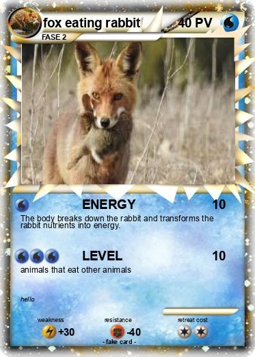 Pokemon fox eating rabbit