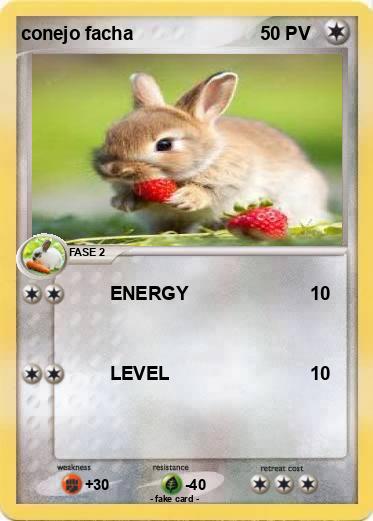 Pokemon conejo facha