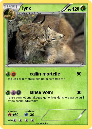 Pokemon lynx