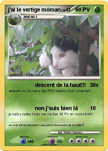 Pokemon j'ai le vertige môman